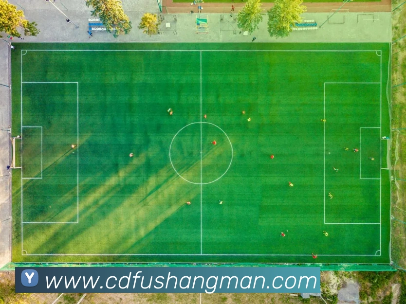 奖项图2